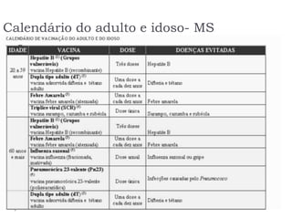 Calendário do adulto e idoso- MS
 