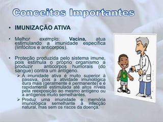 • IMUNIZAÇÃO ATIVA 
• Melhor exemplo: Vacina, atua 
estimulando a imunidade específica 
(linfócitos e anticorpos). 
• Proteção produzida pelo sistema imune, 
pois estimula o próprio organismo a 
produzir anticorpos humorais (do 
sangue) contra um antígeno. 
 A imunidade ativa é muito superior à 
passiva, pois a atividade imunológica 
dura mais (geralmente é permanente) e é 
rapidamente estimulada até altos níveis 
pela reexposição ao mesmo antígeno ou 
a antígenos muito semelhantes. 
 Produz uma imunidade e memória 
imunológica semelhante à infecção 
natural, mas sem os riscos da doença. 
 
