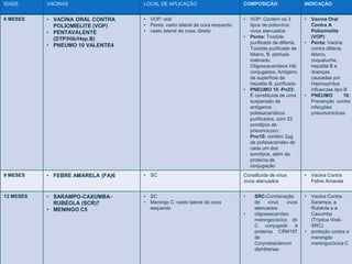 IDADE VACINAS LOCAL DE APLICAÇÃO COMPOSIÇÃO INDICAÇÃO 
6 MESES • VACINA ORAL CONTRA 
POLIOMIELITE (VOP) 
• PENTAVALENTE 
(DTP/Hib/Hep.B) 
• PNEUMO 10 VALENTE4 
• VOP: oral 
• Penta: vasto lateral da coxa esquerdo 
• vasto lateral da coxa: direito 
• VOP: Contém os 3 
tipos de poliovírus 
vivos atenuados 
• Penta: Toxóide 
purificado de difteria, 
Toxóide purificado de 
tétano, B. pertusis 
inativado, 
Oligossacarídeos Hib 
conjugados, Antígeno 
de superfície da 
hepatite B, purificado 
• PNEUMO 10 -Pn23: 
É constituída de uma 
suspensão de 
antígenos 
polissacarídicos 
purificados, com 23 
sorotipos de 
pneumococo ; 
Pnc10: contém 2μg 
de polissacarídeo de 
cada um dos 
sorotipos, além da 
proteína de 
conjugação 
• Vacina Oral 
Contra A 
Poliomielite 
(VOP) 
• Penta: Vacina 
contra difteria, 
tétano, 
coqueluche, 
hepatite B e 
doenças 
causadas por 
Haemophilus 
influenzae tipo B 
• PNEUMO 10: 
Prevenção contra 
infecções 
pneumocócicas 
9 MESES • FEBRE AMARELA (FA)6 • SC Constituída de vírus 
vivos atenuados 
• Vacina Contra 
Febre Amarela 
12 MESES • SARAMPO-CAXUMBA-RUBÉOLA 
(SCR)7 
• MENINGO C5 
• SC 
• Meningo C: vasto lateral da coxa 
esquerdo 
• SRC-Combinação 
de vírus vivos 
atenuados. 
• oligossacarídeo 
meningocócico do 
C conjugado à 
proteína CRM197 
de 
Corynebacterium 
diphtheriae. 
• Vacina Contra 
Sarampo, a 
Rubéola e a 
Caxumba 
(Tríplice Viral- 
SRC) 
• proteção contra a 
meningite 
meningocócica C 
 