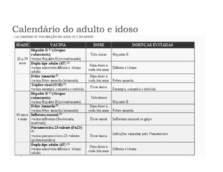 Calendário do adulto e idoso
 