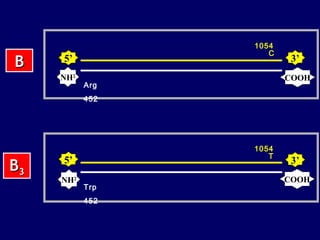 B

1054
C

5’
NH2

3’
COOH

Arg
452

B3

1054
T

5’
NH2

Trp
452

3’
COOH

 