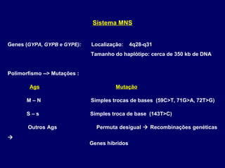 Sistema MNS
Genes (GYPA, GYPB e GYPE):

Localização:

4q28-q31

Tamanho do haplótipo: cerca de 350 kb de DNA

Polimorfismo --> Mutações :
Ags

Mutação

M–N

Simples trocas de bases (59C>T, 71G>A, 72T>G)

S–s

Simples troca de base (143T>C)

Outros Ags

Permuta desigual  Recombinações genéticas


Genes hibridos

 