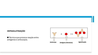 HEMAGLUTINAÇÃO
● Técnica que provoca reação entre
antígenos e anticorpos.
 