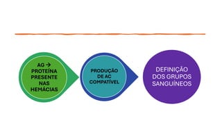 DEFINIÇÃO
DOS GRUPOS
SANGUÍNEOS
PRODUÇÃO
DE AC
COMPATÍVEL
AG →
PROTEÍNA
PRESENTE
NAS
HEMÁCIAS
 