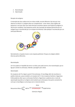 2. Neutralização
   3. Opsonização



Receptor de antígeno:

A interação das duas cadeias terá um relevo molde, encaixe diferente. Na vista por cima
observa-se relevos e o antígeno deve ser complementar a este relevo. Estas regiões são
pequenas e isso quer dizer que cada anticorpo reconhece apenas uma fração do antígeno ( e
não ele por completo). Estas pequenas partes são chamadas de epítopo (partezinha de um
antígeno que é reconhecido por um receptor de linfócito). Cada epítopo é reconhecido por um
anticorpo diferente.




Normalmente a resposta imune e uma resposta policlonal. Porque um antígeno obtém
diversas partes diferentes.



Neutralização:

Um vírus pode ser impedido de entrar na célula, pois pode ocorrer uma neutralização, que se
liga por contato no anticorpo, inibindo a passagem para célula.

Opsonização:

Os receptores de FC se ligam a parte FC do anticorpo. O macrófago além de reconhecer o
padrão molecular, possui também um receptor de FC. Este receptores facilitam a fagocitose.
Então podemos dizer que os anticorpos facilitam a fagocitose e podemos dar o nome de
opsonização (quando um antígeno está recoberto por anticorpos). Esta parte constante faz
com que o macrófago se comunique com o resto do sistema.

                                           Aviso

Mecanismo Efetor         INATA       OPSONIZAÇÃO        ADAPTATIVA

                                    Estimula e Regula
 