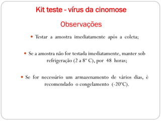  Testar a amostra imediatamente após a coleta;
 Se a amostra não for testada imediatamente, manter sob
refrigeração (2 a 8º C), por 48 horas;
 Se for necessário um armazenamento de vários dias, é
recomendado o congelamento (-20ºC).
Kit teste - vírus da cinomose
Observações
 