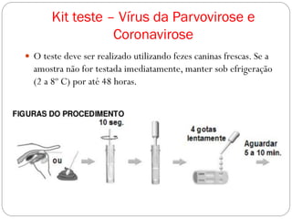Kit teste – Vírus da Parvovirose e
Coronavirose
 O teste deve ser realizado utilizando fezes caninas frescas. Se a
amostra não for testada imediatamente, manter sob efrigeração
(2 a 8º C) por até 48 horas.
 