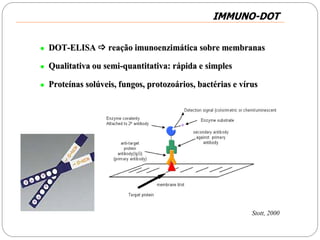  DOTDOT--ELISAELISA  reareaççãoão imunoenzimimunoenzimááticatica sobre membranassobre membranas
 Qualitativa ou semiQualitativa ou semi--quantitativa: rquantitativa: ráápida e simplespida e simples
 ProteProteíínas solnas solúúveis, fungos, protozoveis, fungos, protozoáários, bactrios, bactéérias e vrias e víírusrus
Stott, 2000
IMMUNO-DOTIMMUNO-DOT
 