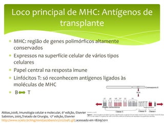 Loco principal de MHC: Antígenos de
                   transplante
        MHC: região de genes polimórficos altamente
        conservados
        Expressos na superfície celular de vários tipos
        celulares
        Papel central na resposta imune
        Linfócitos T: só reconhecem antígenos ligados às
        moléculas de MHC
        B     T


Abbas,2008, Imunologia celular e molecular, 6ª edição, Elsevier
Sabiston, 2005,Tratado de Cirurgia, 17ª edição, Elsevier
http://www.scielo.br/img/revistas/abem/v52n2/04f2.gif; acessado em 18/09/2011
 