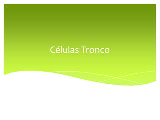 Células Tronco
 