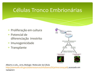 Células Tronco Embrionárias


     Proliferação em cultura
     Potencial de
     diferenciação irrestrito
     Imunogenicidade
     Transplante




Alberts e cols., 2010, Biologia Molecular da Célula
http://stemcells.nih.gov/staticresources/info/basics/SCprimer2009.pdf; acessado em
15/09/2011
 