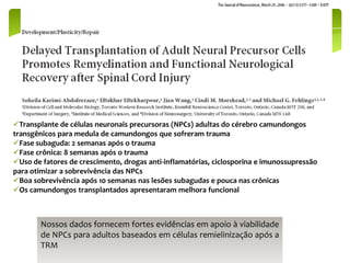 Transplante de células neuronais precursoras (NPCs) adultas do cérebro camundongos
transgênicos para medula de camundongos que sofreram trauma
Fase subaguda: 2 semanas após o trauma
Fase crônica: 8 semanas após o trauma
Uso de fatores de crescimento, drogas anti-inflamatórias, ciclosporina e imunossupressão
para otimizar a sobrevivência das NPCs
Boa sobrevivência após 10 semanas nas lesões subagudas e pouca nas crônicas
Os camundongos transplantados apresentaram melhora funcional



        Nossos dados fornecem fortes evidências em apoio à viabilidade
        de NPCs para adultos baseados em células remielinização após a
        TRM
 