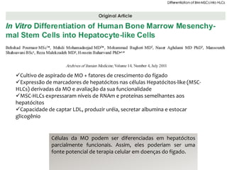 Cultivo de aspirado de MO + fatores de crescimento do fígado
Expressão de marcadores de hepatócitos nas células Hepatócitos-like (MSC-
HLCs) derivadas da MO e avaliação da sua funcionalidade
MSC-HLCs expressaram níveis de RNAm e proteínas semelhantes aos
hepatócitos
Capacidade de captar LDL, produzir uréia, secretar albumina e estocar
glicogênio


              Células da MO podem ser diferenciadas em hepatócitos
              parcialmente funcionais. Assim, eles poderiam ser uma
              fonte potencial de terapia celular em doenças do fígado.
 