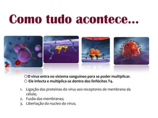 Como tudo acontece...O vírus entra no sistema sanguíneo para se poder multiplicar.