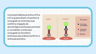 A principal diferença entre a IFD e
a IFI é quena direta o fluoróforo é
conjugado ao anticorpo que
confirma a ligação do
alvo/antígeno (anticorpo primário)
e, na indireta, o anticorpo
conjugado ao fluoróforo
(anticorpo secundário) confirma o
anticorpo primário.
 