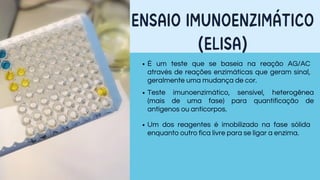 ENSAIO IMUNOENZIMÁTICO
(ELISA)
É um teste que se baseia na reação AG/AC
através de reações enzimáticas que geram sinal,
geralmente uma mudança de cor.
Teste imunoenzimático, sensível, heterogênea
(mais de uma fase) para quantificação de
antígenos ou anticorpos.
Um dos reagentes é imobilizado na fase sólida
enquanto outro fica livre para se ligar a enzima.
 