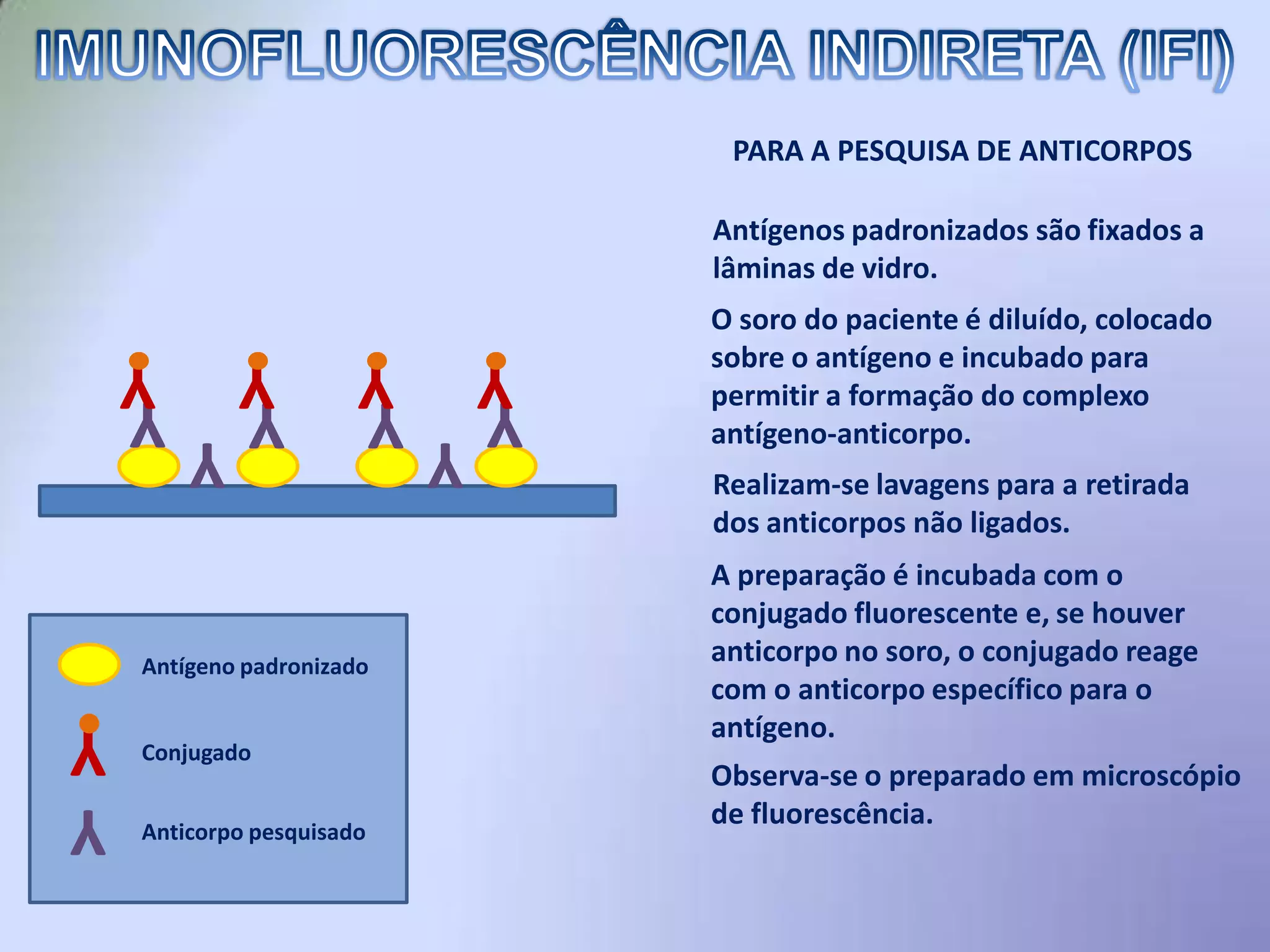 IMUNOFLUORESCÊNCIA DIRETA (IFD)