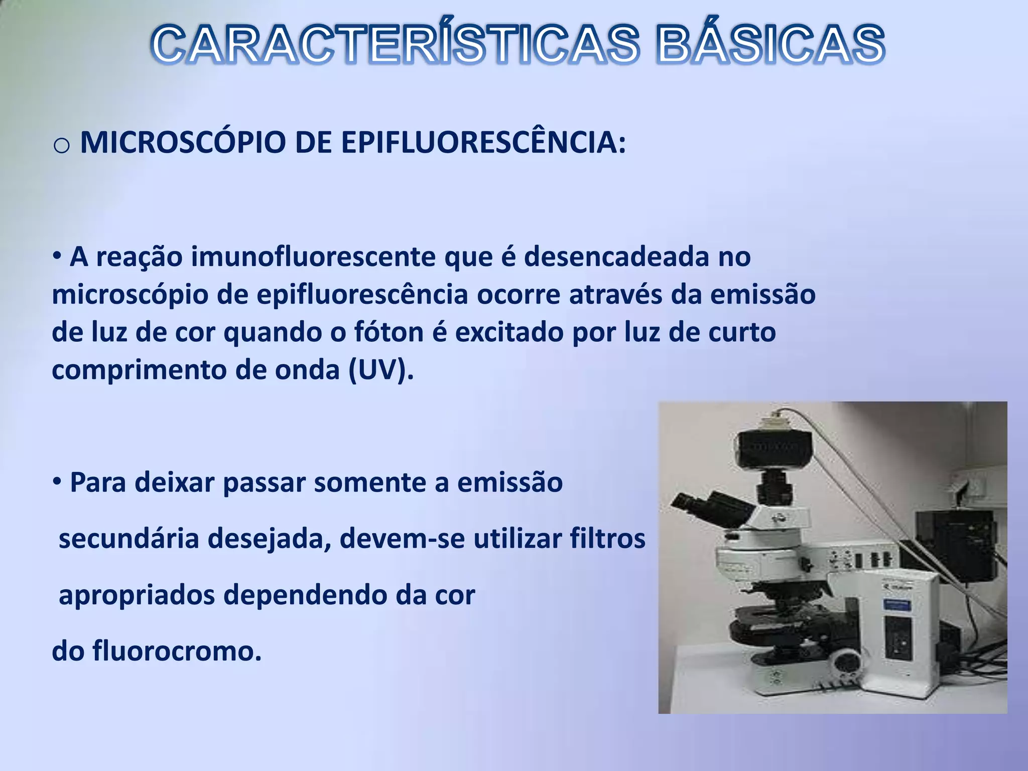  Nos testes de imunofluorescência são empregados conjugados constituídos de anticorpos ligados covalentemente a moléculas reveladoras denominadas fluorocromos.