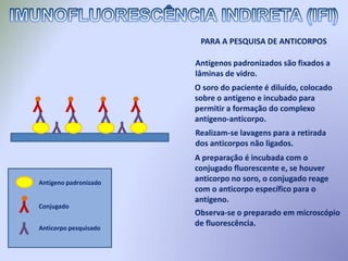 Antígenos padronizados são fixados a
lâminas de vidro.
PARA A PESQUISA DE ANTICORPOS
Realizam-se lavagens para a retirada
dos anticorpos não ligados.
O soro do paciente é diluído, colocado
sobre o antígeno e incubado para
permitir a formação do complexo
antígeno-anticorpo.
A preparação é incubada com o
conjugado fluorescente e, se houver
anticorpo no soro, o conjugado reage
com o anticorpo específico para o
antígeno.
Observa-se o preparado em microscópio
de fluorescência.
YYY
Y
Y
Y
YY YY
Antígeno padronizado
Conjugado
Anticorpo pesquisado
Y
Y
 