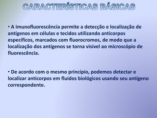 • A imunofluorescência permite a detecção e localização de
antígenos em células e tecidos utilizando anticorpos
específicos, marcados com fluorocromos, de modo que a
localização dos antígenos se torna visível ao microscópio de
fluorescência.
• De acordo com o mesmo princípio, podemos detectar e
localizar anticorpos em fluidos biológicos usando seu antígeno
correspondente.
 