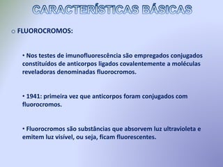 o FLUOROCROMOS:
• Nos testes de imunofluorescência são empregados conjugados
constituídos de anticorpos ligados covalentemente a moléculas
reveladoras denominadas fluorocromos.
• 1941: primeira vez que anticorpos foram conjugados com
fluorocromos.
• Fluorocromos são substâncias que absorvem luz ultravioleta e
emitem luz visível, ou seja, ficam fluorescentes.
 