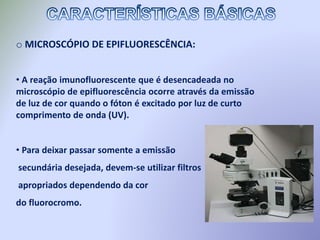 o MICROSCÓPIO DE EPIFLUORESCÊNCIA:
• A reação imunofluorescente que é desencadeada no
microscópio de epifluorescência ocorre através da emissão
de luz de cor quando o fóton é excitado por luz de curto
comprimento de onda (UV).
• Para deixar passar somente a emissão
secundária desejada, devem-se utilizar filtros
apropriados dependendo da cor
do fluorocromo.
 