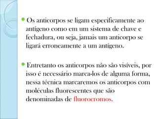 Os   anticorpos se ligam especificamente ao
 antígeno como em um sistema de chave e
 fechadura, ou seja, jamais um anticorpo se
 ligará erroneamente a um antígeno.

Entretanto  os anticorpos não são visíveis, por
 isso é necessário marca-los de alguma forma,
 nessa técnica marcaremos os anticorpos com
 moléculas fluorescentes que são
 denominadas de fluorocromos.
 
