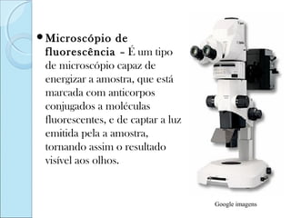 Microscópio      de
 fluorescência – É um tipo
 de microscópio capaz de
 energizar a amostra, que está
 marcada com anticorpos
 conjugados a moléculas
 fluorescentes, e de captar a luz
 emitida pela a amostra,
 tornando assim o resultado
 visível aos olhos.


                                    Google imagens
 