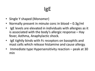 IgE
• Single Y shaped (Monomer)
• Normally present in minute conc in blood – 0.3g/ml
• IgE levels are elevated in individuals with allergies as it
is associated with the body’s allergic response – Hay
fever, Asthma, Anaphylactic shock.
• IgE tightly binds with Fc receptors on basophils and
mast cells which release histamine and cause allergy.
• Immediate type Hypersensitivity reaction – peak at 30
min
 