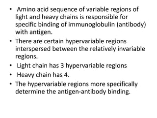 • Amino acid sequence of variable regions of
light and heavy chains is responsible for
specific binding of immunoglobulin (antibody)
with antigen.
• There are certain hypervariable regions
interspersed between the relatively invariable
regions.
• Light chain has 3 hypervariable regions
• Heavy chain has 4.
• The hypervariable regions more specifically
determine the antigen-antibody binding.
 