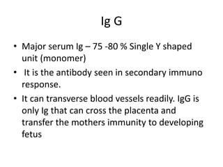 Ig G
• Major serum Ig – 75 -80 % Single Y shaped
unit (monomer)
• It is the antibody seen in secondary immuno
response.
• It can transverse blood vessels readily. IgG is
only Ig that can cross the placenta and
transfer the mothers immunity to developing
fetus
 