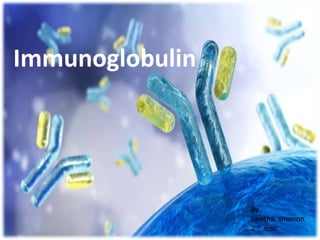 Immunoglobulin
By
Swetha smenon
2nd msc
 