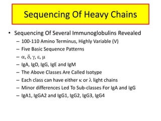 • Sequencing Of Several Immunoglobulins Revealed
– 100-110 Amino Terminus, Highly Variable (V)
– Five Basic Sequence Patterns
– , , , , 
– IgA, IgD, IgG, IgE and IgM
– The Above Classes Are Called Isotype
– Each class can have either  or  light chains
– Minor differences Led To Sub-classes For IgA and IgG
– IgA1, IgGA2 and IgG1, IgG2, IgG3, IgG4
Sequencing Of Heavy Chains
 