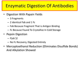 • Digestion With Papain Yields
– 3 Fragments
– 2 identical Fab and 1 Fc
– Fab Because Fragment That is Antigen Binding
– Fc Because Found To Crystallize In Cold Storage
• Pepsin Digestion
– F(ab`)2
– No Fc Recovery, Digested Entirely
• Mercaptoethanol Reduction (Eliminates Disulfide Bonds)
And Alkylation Showed
Enzymatic Digestion Of Antibodies
 
