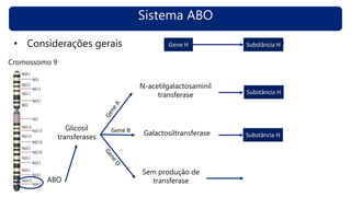 Sistema ABO
• Considerações gerais
ABO
Glicosil
transferases
N-acetilgalactosaminil
transferase
Galactosiltransferase
Sem produção de
transferase
Cromossomo 9
Gene B
Gene H Substância HSubstância H
Substância H
Substância H
 