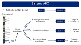 Sistema ABO
• Considerações gerais
ABO
Glicosil
transferases
N-acetilgalactosaminil
transferase
Galactosiltransferase
Sem produção de
transferase
Cromossomo 9
Grupo A
GalNac + H
Grupo B
Gal + H
Gene B
Grupo O
Substância H
Gene H Substância H
Substância H
Substância H
Substância H
 