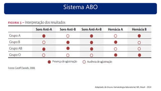 Sistema ABO
Adaptado de Imuno-hematologia laboratorial, MS, Brasil - 2014
 