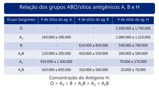 Relação dos grupos ABO/sítios antigênicos A, B e H
Concentração do Antígeno H:
O > A2 > B > A2B > A1 > A1B
Grupo Sanguíneo # de sítios do ag. A # de sítios do ag. B # de sítios do ag. H
O - - 1.590.000 a 1.740.000
A2 160.000 a 290.000 - 1.080.000 a 1.210.000
B - 610.000 a 830.000 540.000 a 760.000
A2B 120.000 a 200.000 450.000 a 550.000 300.000 a 500.000
A1 910.000 a 1.300.000 - 70.000 a 170.000
A1B 420.000 a 850.000 310.000 a 560.000 20.000 a 70.000
 