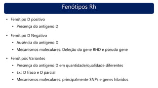 Fenótipos Rh
• Fenótipo D positivo
• Presença do antígeno D
• Fenótipo D Negativo
• Ausência do antígeno D
• Mecanismos moleculares: Deleção do gene RHD e pseudo gene
• Fenótipos Variantes
• Presença do antígeno D em quantidade/qualidade diferentes
• Ex.: D fraco e D parcial
• Mecanismos moleculares: principalmente SNPs e genes híbridos
 
