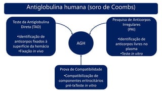 Antiglobulina humana (soro de Coombs)
Teste da Antiglobulina
Direta (TAD)
•Identificação de
anticorpos fixados à
superfície da hemácia
•Fixação in vivo
Pesquisa de Anticorpos
Irregulares
(PAI)
•Identificação de
anticorpos livres no
plasma
•Teste in vitro
AGH
Prova de Compatibilidade
•Compatibilização de
componentes eritrocitários
pré-txTeste in vitro
 