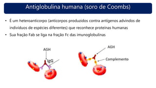 Antiglobulina humana (soro de Coombs)
• É um heteroanticorpo (anticorpos produzidos contra antígenos advindos de
indivíduos de espécies diferentes) que reconhece proteínas humanas
• Sua fração Fab se liga na fração Fc das imunoglobulinas
 