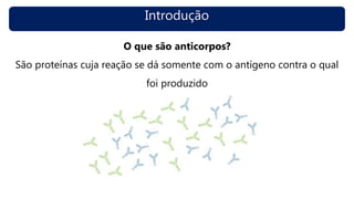 Introdução
O que são anticorpos?
São proteínas cuja reação se dá somente com o antígeno contra o qual
foi produzido
 