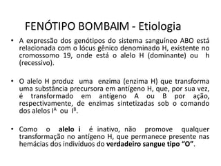 FENÓTIPO BOMBAIM - Etiologia
• A expressão dos genótipos do sistema sanguíneo ABO está
relacionada com o lócus gênico denominado H, existente no
cromossomo 19, onde está o alelo H (dominante) ou h
(recessivo).
• O alelo H produz uma enzima (enzima H) que transforma
uma substância precursora em antígeno H, que, por sua vez,
é transformado em antígeno A ou B por ação,
respectivamente, de enzimas sintetizadas sob o comando
dos alelos IA ou IB.
• Como o alelo i é inativo, não promove qualquer
transformação no antígeno H, que permanece presente nas
hemácias dos indivíduos do verdadeiro sangue tipo “O”.
 