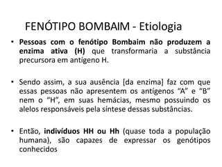 FENÓTIPO BOMBAIM - Etiologia
• Pessoas com o fenótipo Bombaim não produzem a
enzima ativa (H) que transformaria a substância
precursora em antígeno H.
• Sendo assim, a sua ausência [da enzima] faz com que
essas pessoas não apresentem os antígenos “A” e “B”
nem o “H”, em suas hemácias, mesmo possuindo os
alelos responsáveis pela síntese dessas substâncias.
• Então, indivíduos HH ou Hh (quase toda a população
humana), são capazes de expressar os genótipos
conhecidos
 