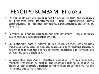 FENÓTIPO BOMBAIM - Etiologia
• Indivíduos de composição genética hh por outro lado, são incapazes
de promover essa transformação, não expressando, como
consequência, os referidos genótipos, caracterizando, portanto, os
falsos “O”.
• Portanto, o Fenótipo Bombaim não tem antígenos H na superfícies
das hemácias e tem anticorpos Anti-H.
• Ser deficiente para a enzima H não causa doença. Mas se uma
transfusão sanguínea for necessária, pessoas com fenótipo Bombaim
podem receber sangue apenas de outros doadores que também são
deficientes para a enzima H.
• Se pacientes com Anti-H (fenótipo Bombaim) em sua circulação
recebem transfusão de sangue que contém antígeno H (sangue do
grupo O, por exemplo), podem correr o risco de sofrer uma reação
hemolítica aguda transfusional.
 