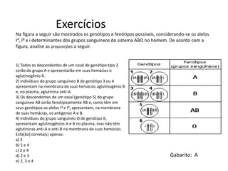 Exercícios
Gabarito: A
Na figura a seguir são mostrados os genótipos e fenótipos possíveis, considerando-se os alelos
IA, IB e i determinantes dos grupos sanguíneos do sistema ABO no homem. De acordo com a
figura, analise as proposições a seguir.
1) Todos os descendentes de um casal de genótipo tipo 2
serão do grupo A e apresentarão em suas hemácias o
aglutinogênio A.
2) Indivíduos do grupo sanguíneo B de genótipo 3 ou 4
apresentam na membrana de suas hemácias aglutinogênio B
e, no plasma, aglutinina anti-A.
3) Os descendentes de um casal (genótipo 5) do grupo
sanguíneo AB serão fenotipicamente AB e, como têm em
seus genótipos os alelos IA e IB, apresentam, na membrana
de suas hemácias, os antígenos A e B.
4) Indivíduos do grupo sanguíneo O de genótipo 6,
apresentam aglutinogênios A e B no plasma, mas não têm
aglutininas anti-A e anti-B na membrana de suas hemácias.
Está(ão) correta(s) apenas:
a) 2
b) 1 e 4
c) 2 e 4
d) 2 e 3
e) 2, 3 e 4
 