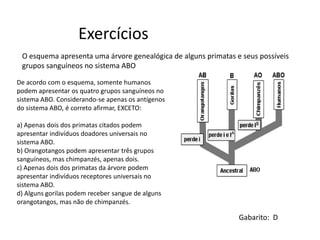Exercícios
Gabarito: D
O esquema apresenta uma árvore genealógica de alguns primatas e seus possíveis
grupos sanguíneos no sistema ABO
De acordo com o esquema, somente humanos
podem apresentar os quatro grupos sanguíneos no
sistema ABO. Considerando-se apenas os antígenos
do sistema ABO, é correto afirmar, EXCETO:
a) Apenas dois dos primatas citados podem
apresentar indivíduos doadores universais no
sistema ABO.
b) Orangotangos podem apresentar três grupos
sanguíneos, mas chimpanzés, apenas dois.
c) Apenas dois dos primatas da árvore podem
apresentar indivíduos receptores universais no
sistema ABO.
d) Alguns gorilas podem receber sangue de alguns
orangotangos, mas não de chimpanzés.
 