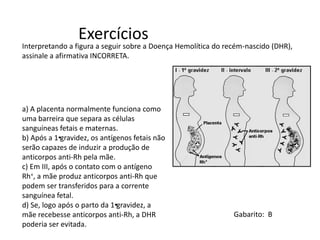 Exercícios
Gabarito: B
Interpretando a figura a seguir sobre a Doença Hemolítica do recém-nascido (DHR),
assinale a afirmativa INCORRETA.
a) A placenta normalmente funciona como
uma barreira que separa as células
sanguíneas fetais e maternas.
b) Após a 1•gravidez, os antígenos fetais não
serão capazes de induzir a produção de
anticorpos anti-Rh pela mãe.
c) Em III, após o contato com o antígeno
Rh+, a mãe produz anticorpos anti-Rh que
podem ser transferidos para a corrente
sanguínea fetal.
d) Se, logo após o parto da 1•gravidez, a
mãe recebesse anticorpos anti-Rh, a DHR
poderia ser evitada.
 