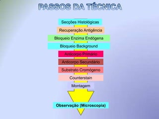 Necessidade de pequenas quantidades de tecido.CARACTERÍSTICAS BÁSICASDesvantagens 