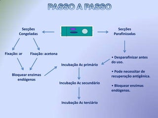 O preparo da amostra a ser analisada deve seguir as etapas normais das histotécnicas habituais:1)  Colheita da amostra biológica.2) Preservação por fixação ou congelamento em nitrogênio líquido.Fixadores: formaldeído 4 a 10%, paraformaldeído 4%, periodato-lisina-paraformaldeído (PLP), glutaraldeído, Carnoy (etanol:clorofórmio:ácido acético glacial 7:2:1) etc.PREPARO DA AMOSTRA